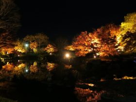 桜山公園・桜山森林公園