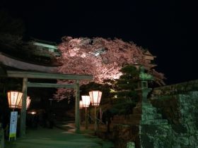 臼杵公園・臼杵城跡