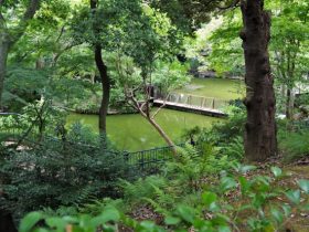 野毛山動物園・野毛山公園