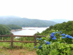 羽鳥湖高原