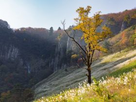 船上山